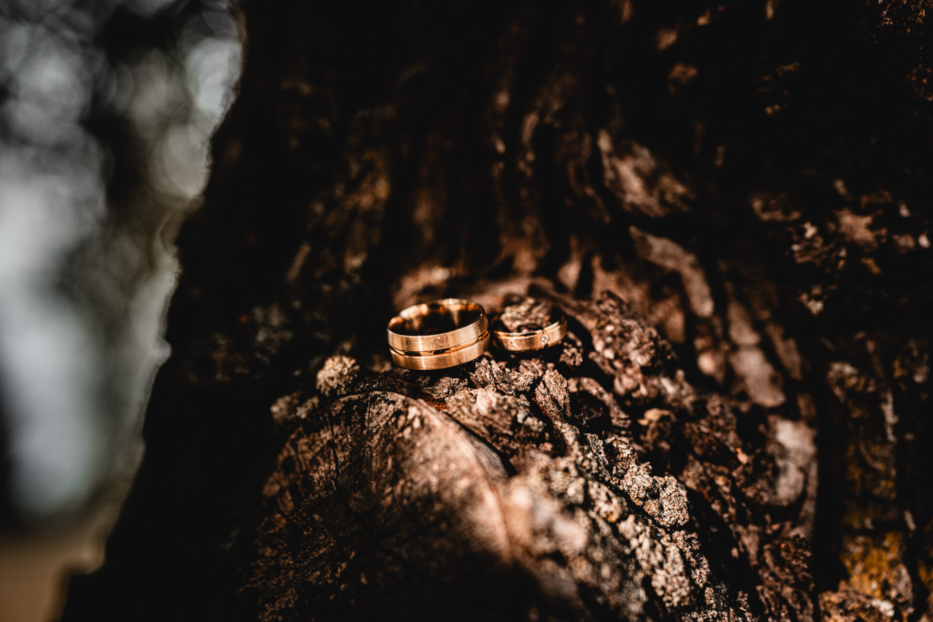 Júlia & Szilveszter