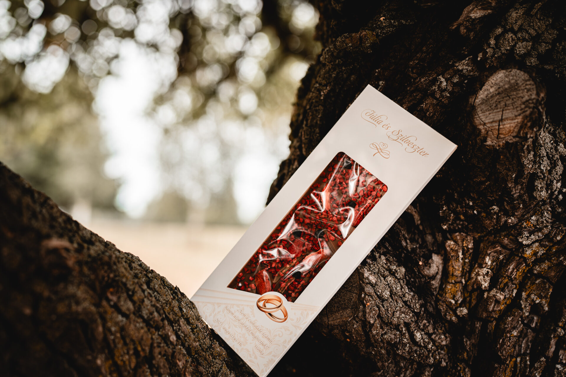 Júlia & Szilveszter